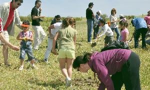 Varios voluntarios, durante la plantación de árboles. / Fran Jiménez