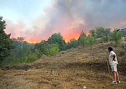 Nivel 0 en los incendios declarados en Murias de Paredes y Lombillos