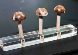 Setas de chocolate del pastelero Julián Arrnaz, de la localidad vallisoletana de Pedrajas de San Esteban. / El Norte