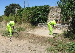 Dos trabajadores del plan realizan tareas de poda y limpieza en el Monte el Viejo. / El Norte
