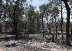 Controlado en Alcañices el incendio que se inició en Portugal y que ha afectado a unas 1.200 hectáreas