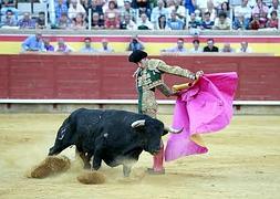Castilla y León declara los toros bien de interés cultural