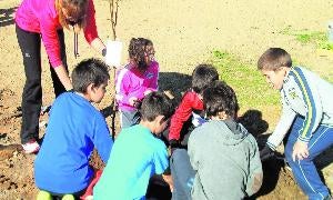 Los más pequeños inician las plantaciones / J. F.