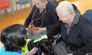 Dos mujeres acarician un perro durante la jornada terapéutica. / El Norte