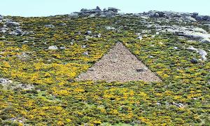 Imagen de Gredos con el piorno en plena floración.