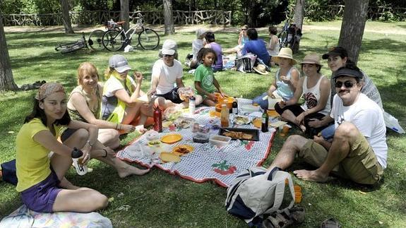 Participantes de la ruta ciclohortícola disfrutan de la comida en la chopera de la Ribera de Castilla