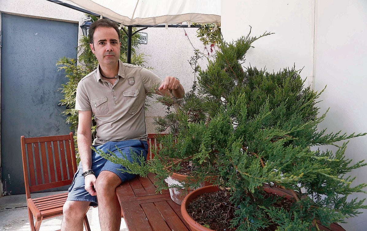 Un pequeño bosque de prebonsáis