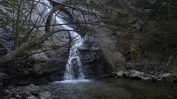 Dos sendas guiadas descubren el Parque Natural Sierra Norte de Guadarrama