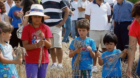 Un grupo de niños hacen ramos con las espigas. 