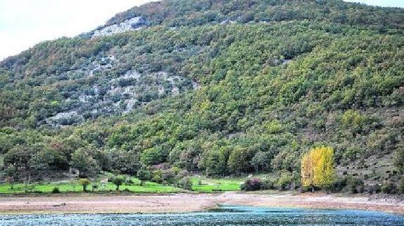 Playa del embalse de Ruesga en el Parque Natural de Fuentes Carrionas.