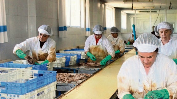 Empleadas de Azkue, en las tareas de troceado, pelado y limpieza de sus pescados para la elaboración de las conservas.
