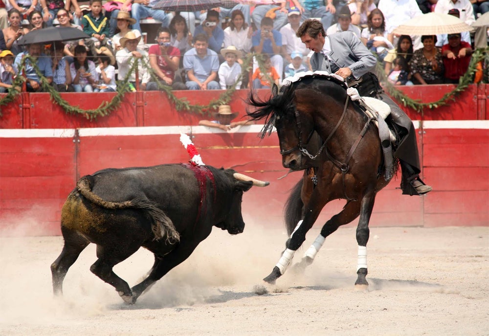 Actividades en la Plaza de Toros de Palencia