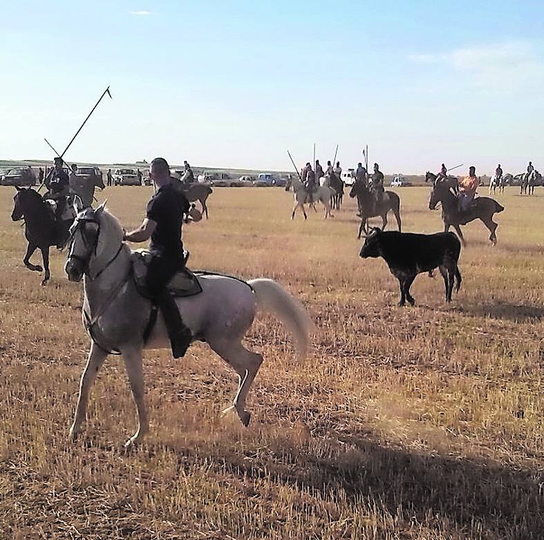 Imagen del encierro de Villanueva de los Caballeros. 