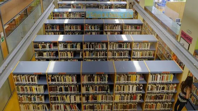 Estanterías con libros en la biblioteca de Pajarillos.