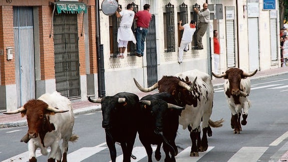 Un momento del encierro, ayer en las calles de Nava de la Asunción. 