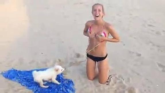 El perro contra el bikini