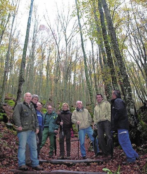 Paraje boscoso de Ligüérzana, uno de los puntos de la visita.