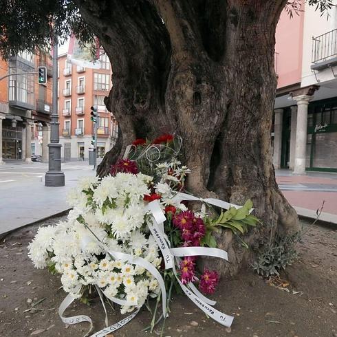 Flores en recuerdo de las víctimas en el centro de Valladolid. 