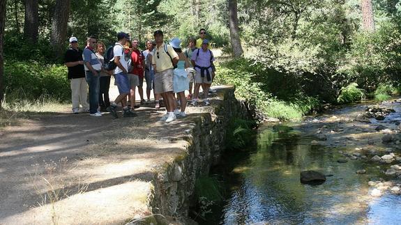 Excursionistas en los montes de Valsaín. 