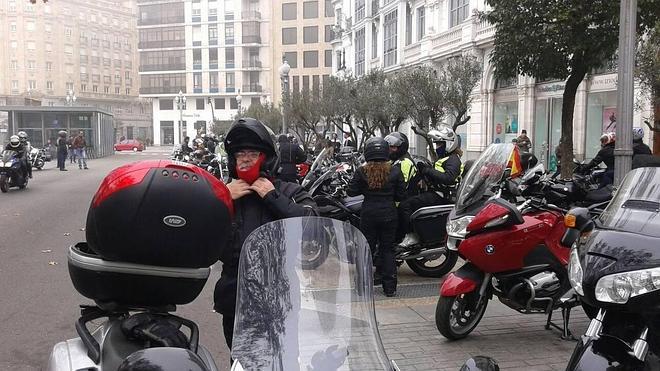 Los pingüinos se dejan sentir por Valladolid