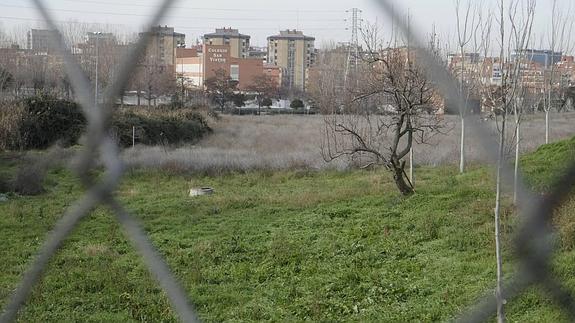 Terrenos junto al centro de menores Zambrana, que el Ayuntamiento de Valladolid está obligadoa expropiar por sentencia judicial. 