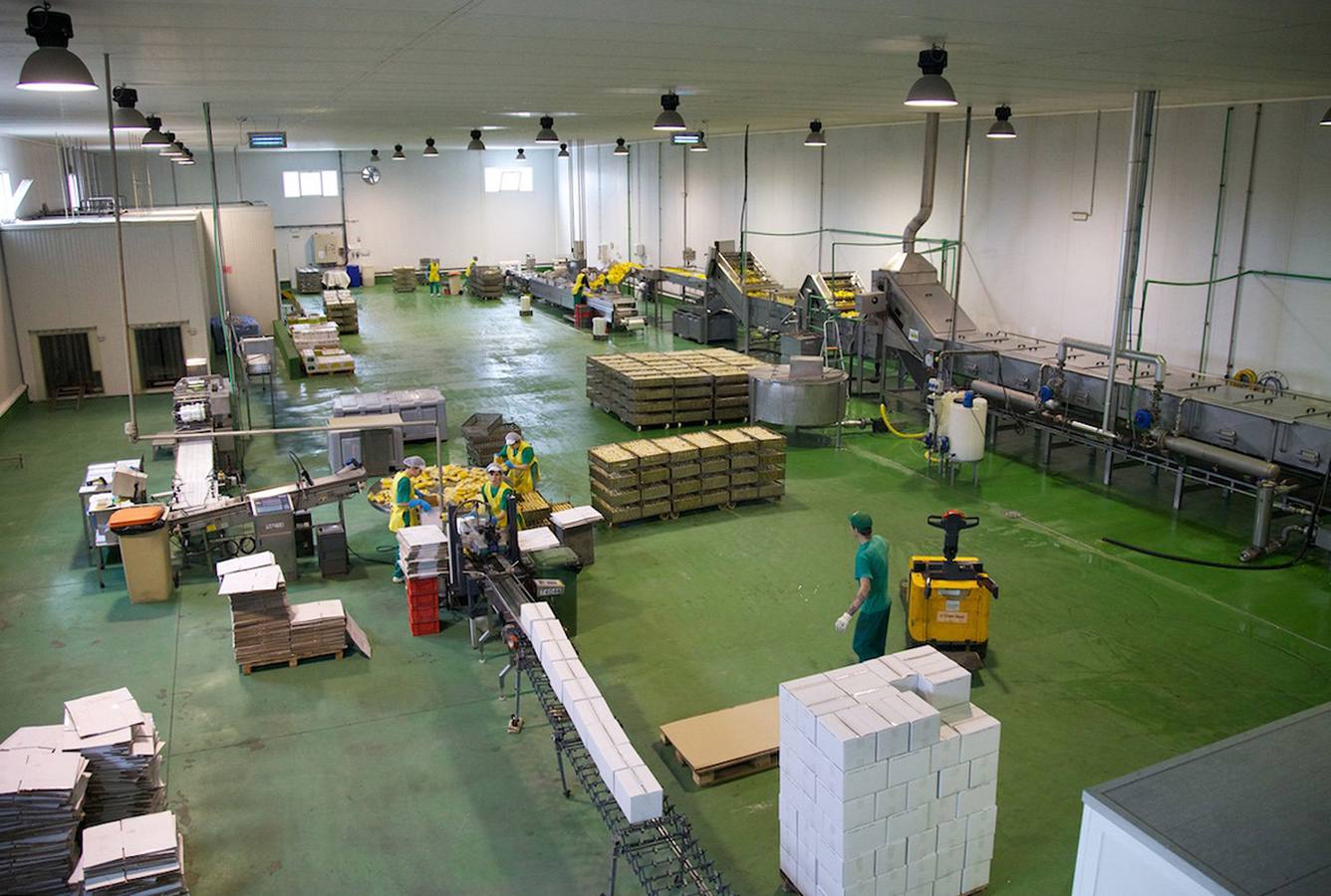 Planta de producción de la empresa Huercasa. 