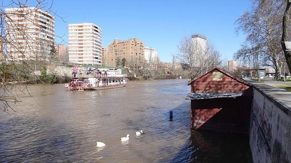 El Pisuerga, hoy a la altura del puente de Poniente.