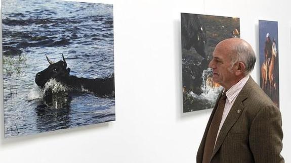 El presidente de la Diputación de Ávila, Agustín González, asiste a la inauguración de la exposición 'En movimiento