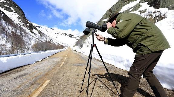 El guarda mayor de la Reserva observa varios animales supervivientes tras la nevada.
