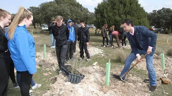 Bosque de Pascual en Aranda.