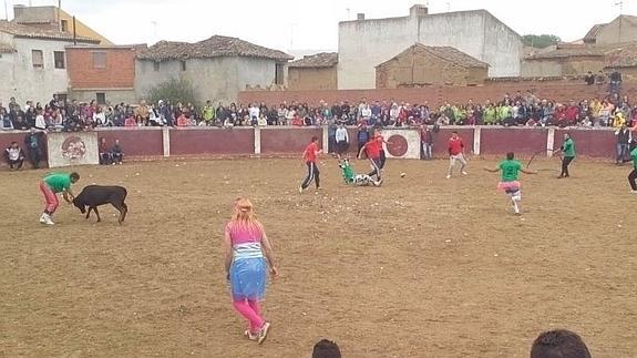 Suelta de vaquillas en Villabrágima.