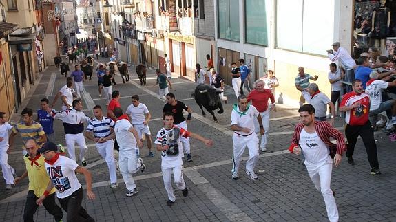 Uno de los encierros de Cuéllar.Antonio Tanarro