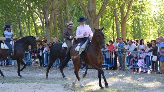 La Escuela Fuentecilla de Medina del Campo ofreció una exhibición ecuestre. S