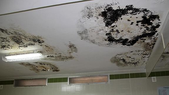 Aspecto del moho y las manchas de humedad en el techo del gimnasio del colegio.