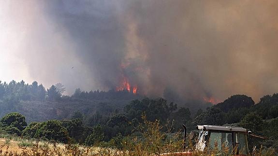 El incendio forestal de Palaciosmil, en el término de Quintana de Castillo, ha quemado 2600 hectáreas.