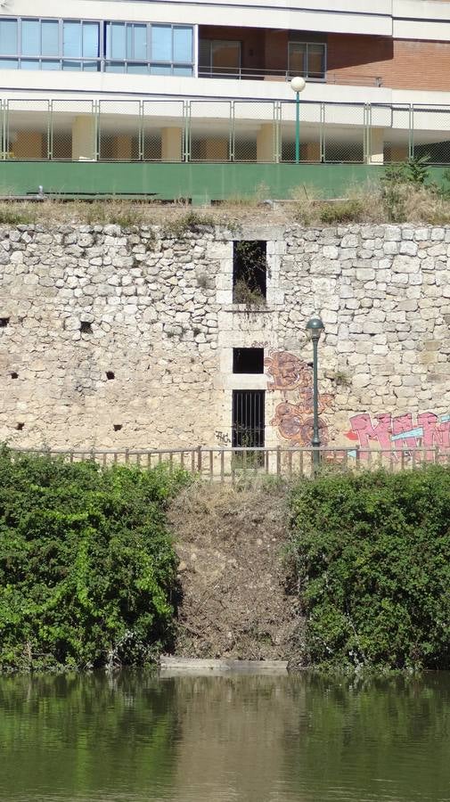 Talud, ya desbrozado, donde se levantrá el embarcadero. 