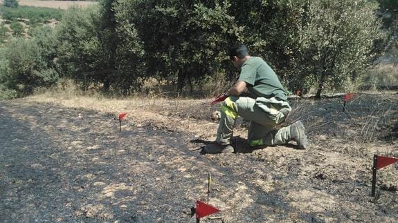 Labores de investigación del incendio forestal de Latedo.