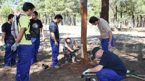 Una de las actividades formativas.
