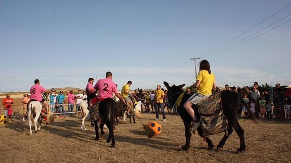 Jugadores durante el campeonato de burro-polo
