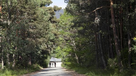 Dos ciclistas pasean por el bosque de Valsain.
