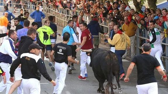 Quinto y último encierro de las fiestas de Cuéllar con toros de la ganadería Guadajira, de Badajoz. 