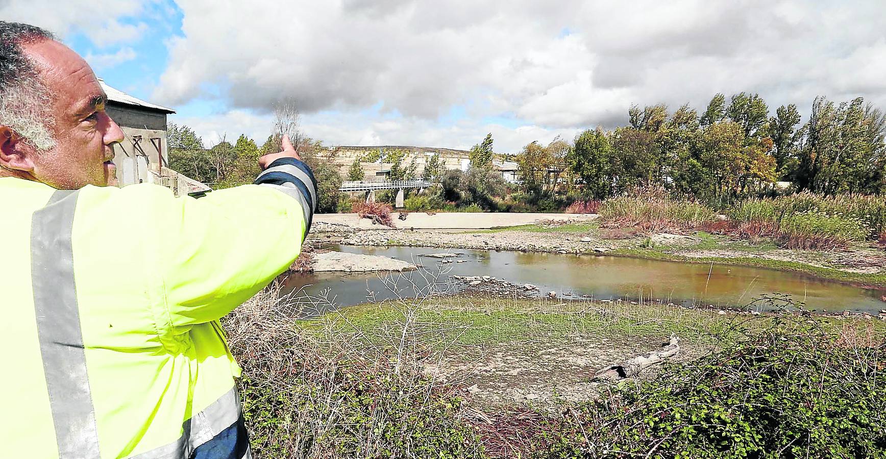 Un operario muestra el estado de la zona de la pesquera, en la que se acumulan peces muertos y suciedad desde la rotura del pasado 4 de septiembre. 