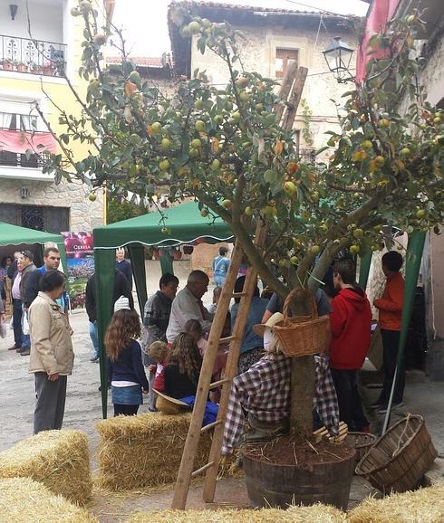 Cantabrana acoge hoy la V Feria de la Manzana Reineta del Valle de las Caderechas