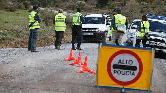 Operativo coordinado de la Junta de Castilla y León y la Guardia Civil para control de los aprovechamientos micológicos.