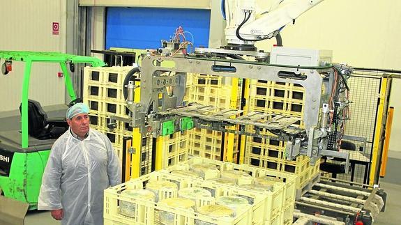 Salvador Castrillejo observa el trabajo del robot que retira y coloca los quesos de los palés. 