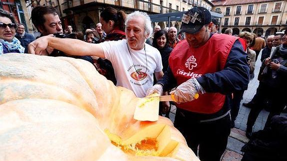 Manuel Yuma corta su calabaza gigante 