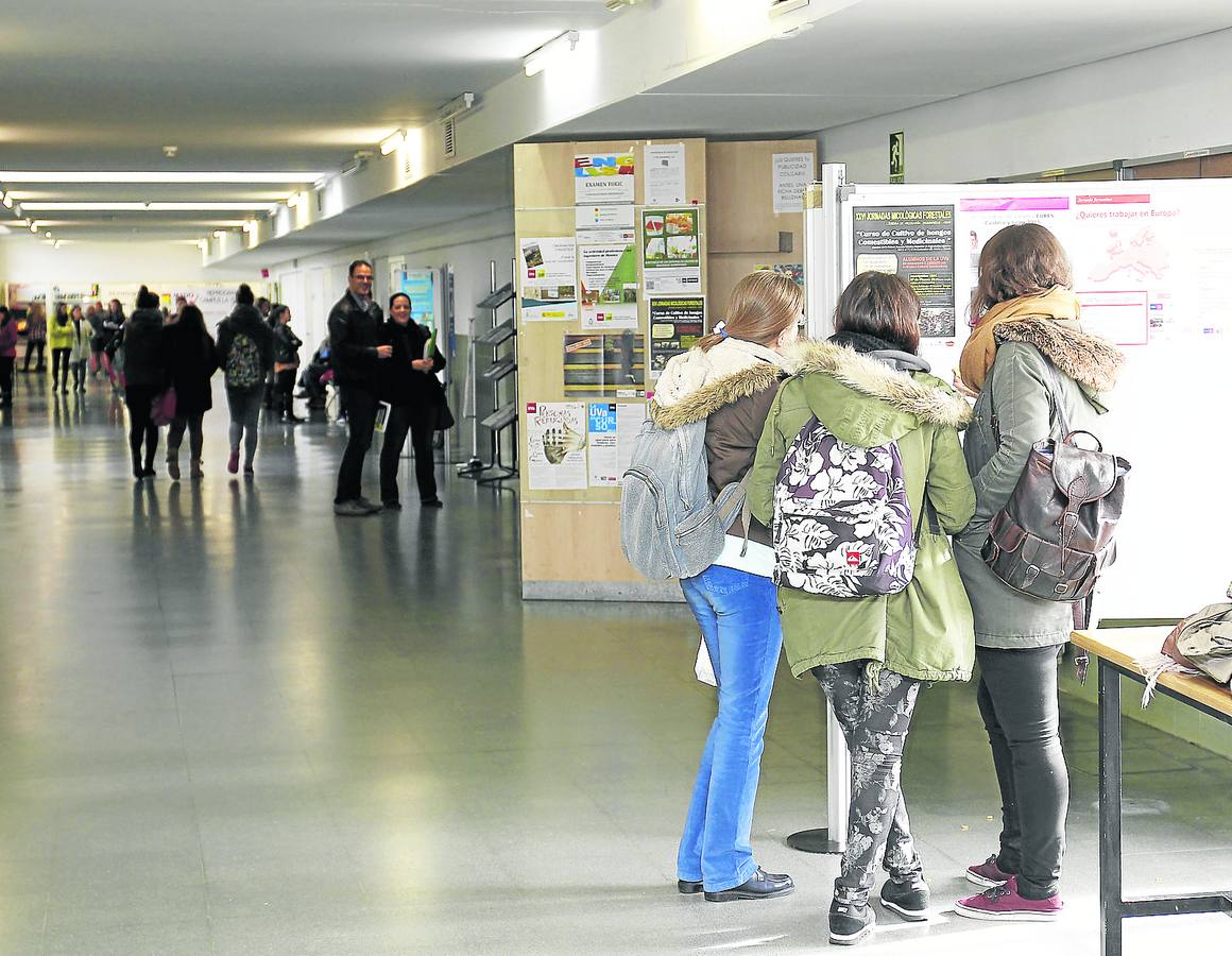 Tres jóvenes consultan un panel de anuncios en el Aulario del campus de La Yutera.