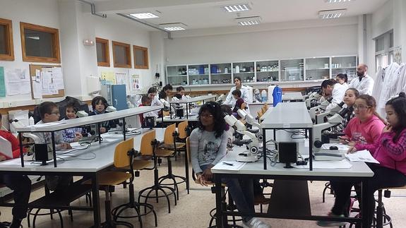 15 colegios e institutos de Zamora participan en la Semana de la Ciencia