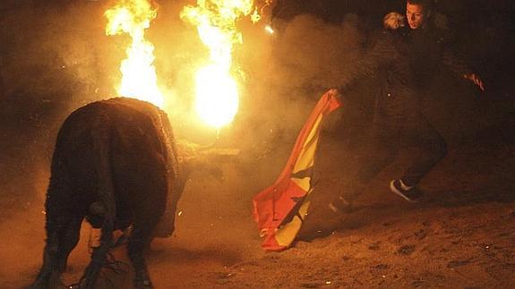 Alrededor de cuatro mil personas han presenciado esta noche la celebración del toro jubilo en Medinaceli, un festejo para los que los antitaurinos han gritado de nuevo por su abolición. 