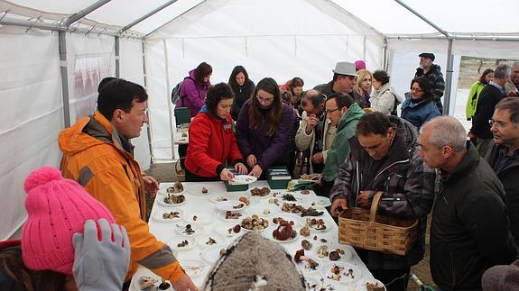 Participantes en la jornada observan las setas y hongos recolectados.